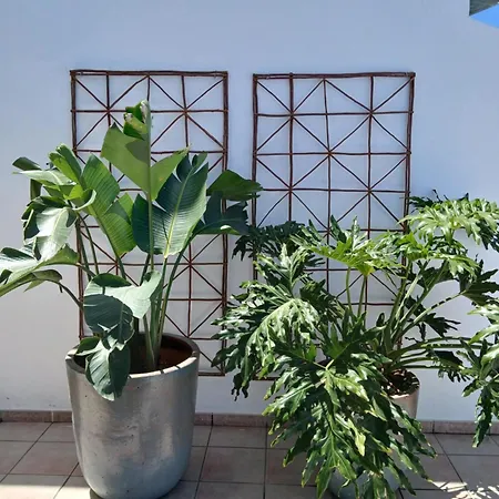 Sabida, Lanzarote *